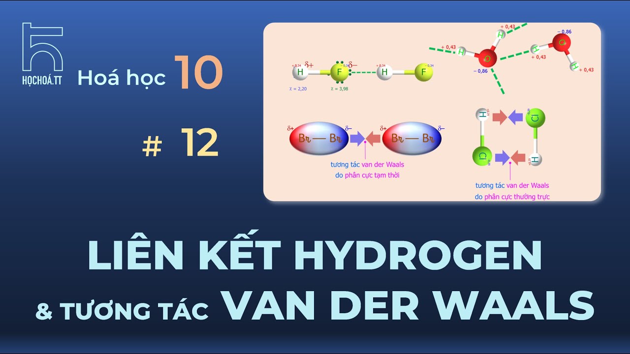 Liên kết hydrogen & tương tác van der Waals (Hóa học 10)