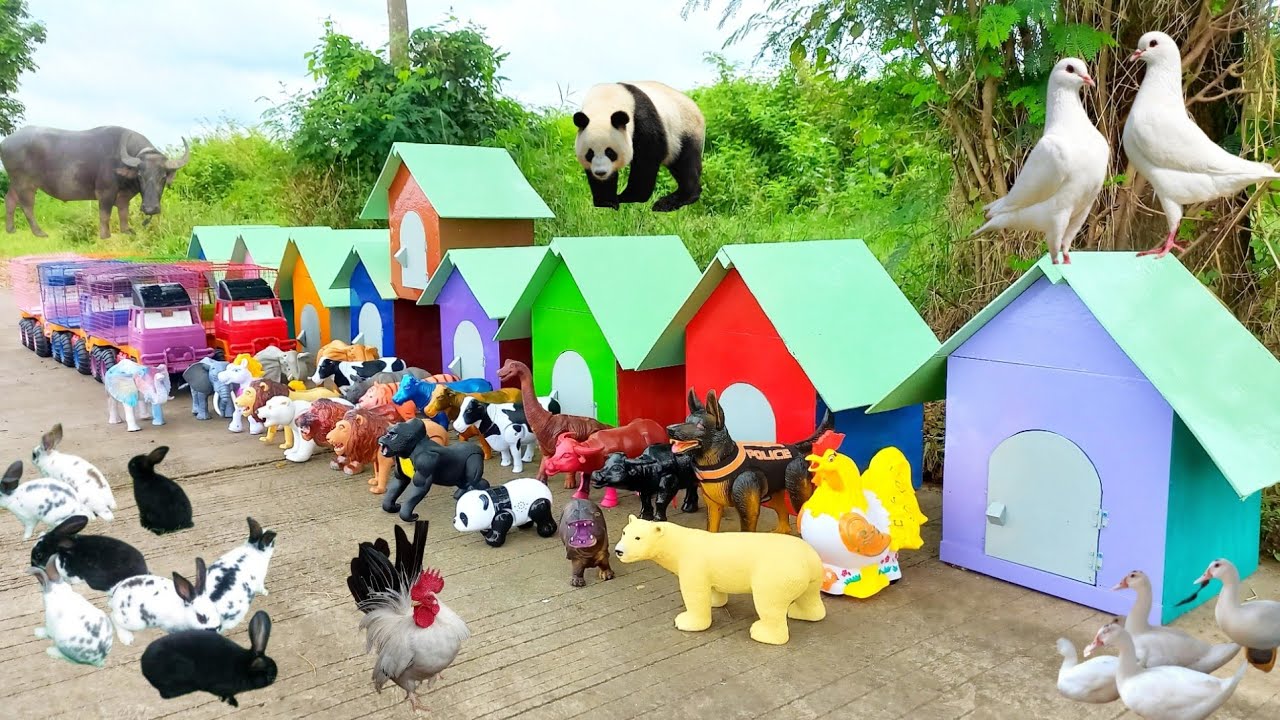 Waoow Keren,,,Truk Angkut Kelinci, itik, Bebek, Kuda, Ayam Ketawa, Burung Dara, induk Kerbau, Kuda