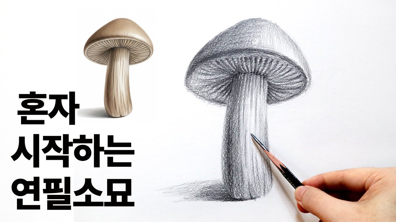 초보자를 위한 기초 소묘 버섯 그리기 수업
