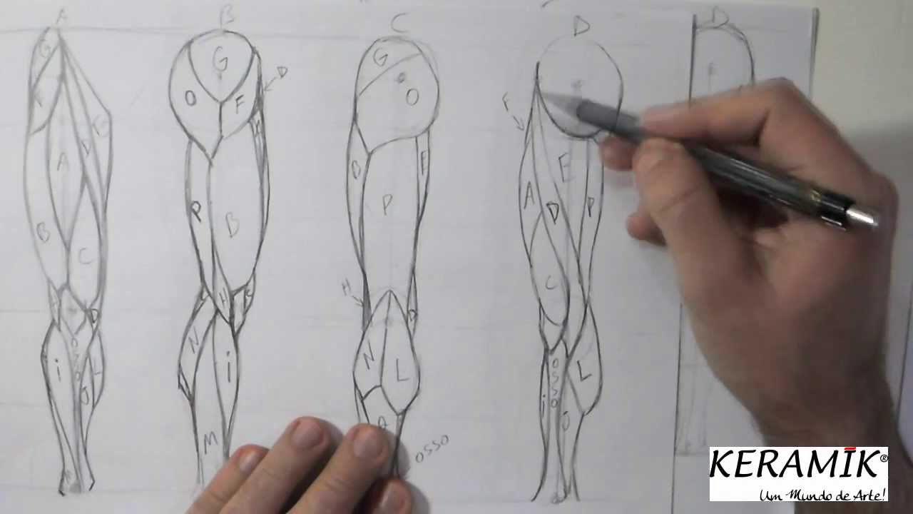 Como desenhar: Mulheres - Pernas parte 2 - Músculos Simplificados