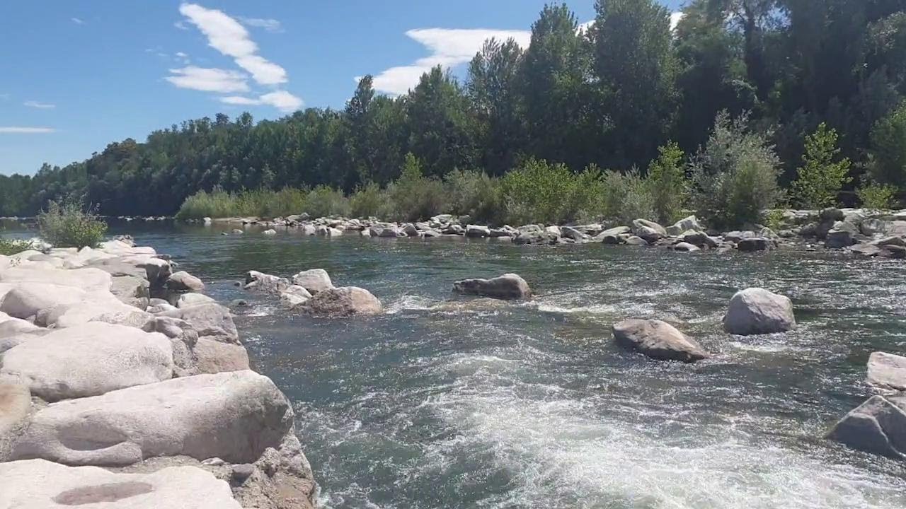 Il fiume Sesia diviso dalla burocrazia: sulla sponda vercellese ci si tuffa, nel Novarese è vietato