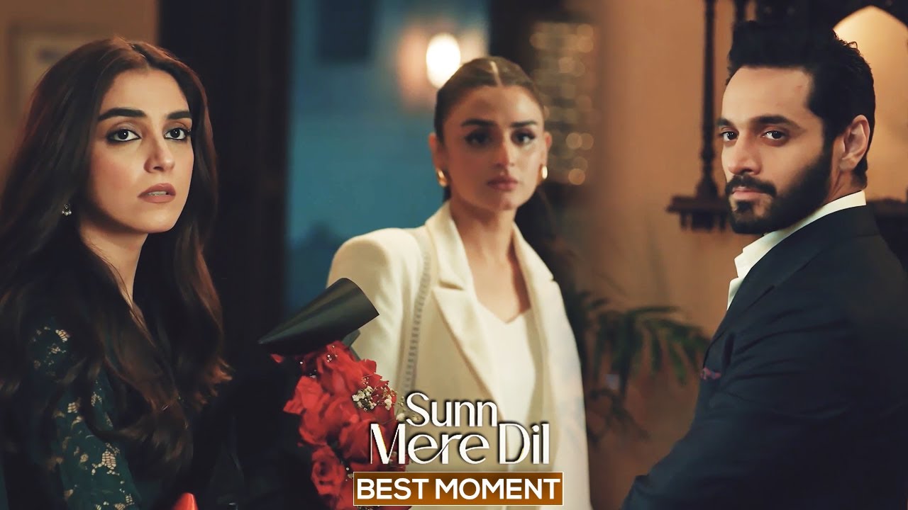 Sunn Mere Dil Episode 14 | 𝐁𝐞𝐬𝐭 𝐌𝐨𝐦𝐞𝐧𝐭 𝟎𝟑 | Wahaj Ali - Maya Ali | Har Pal Geo