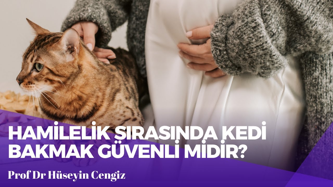 Hamilelikte Kedinizi ve Bebeğinizi Güvende Tutmak: Toksoplazmozis Önleme🐈🤰