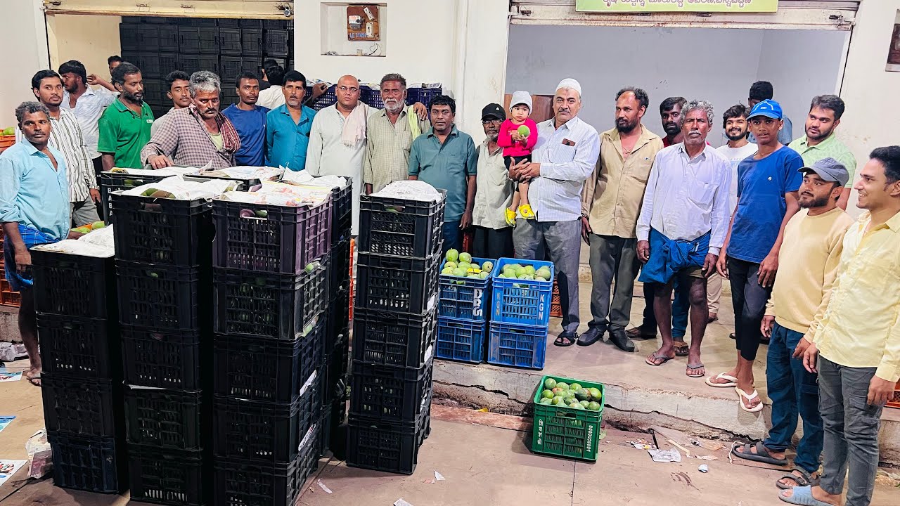 Asia Ka Biggest Mango Market | Salman Traders | Issues facing by locals | Channapatna