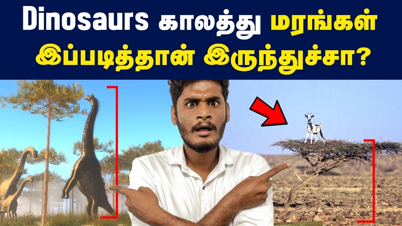 Dinosaurs காலத்து மரங்கள் இப்படித்தான் இருந்துச்சு!? | Plants evolution before & after Dinosaurs era