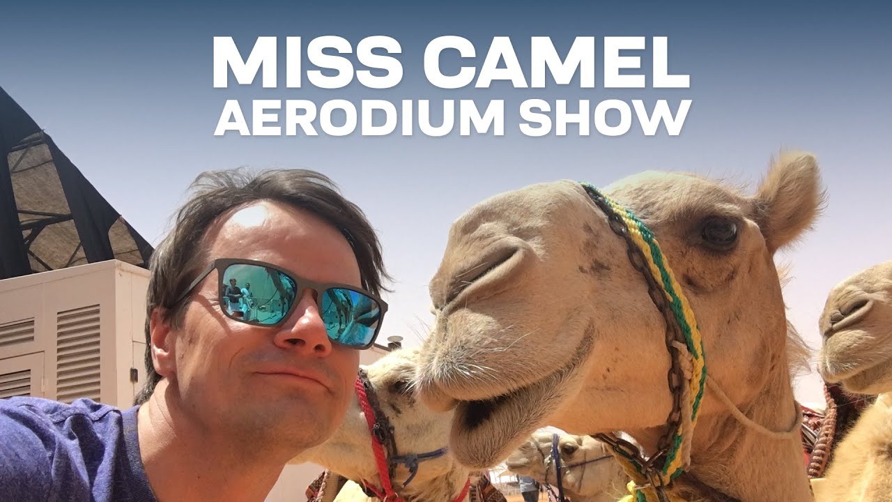 Flight show at Miss Camel 2017 | AERODIUM
