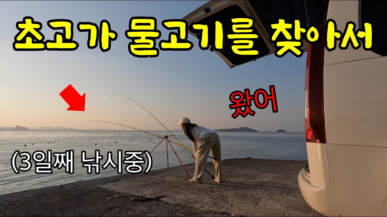 큰 녀석은 백만원이 훌쩍 넘는다고? 여름에만 잡히는 초고가 물고기를 잡아보자