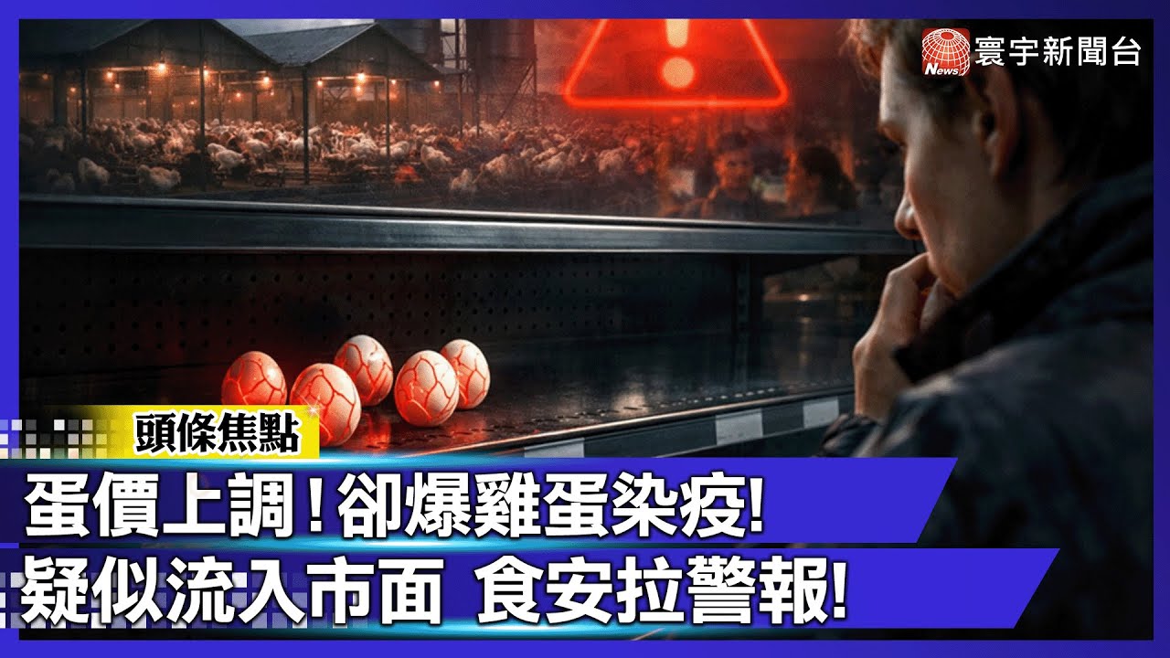 全台最貴！禽流感＋春節需求 蛋價三連漲 又爆業者掩埋死雞！｜#寰宇財經新聞