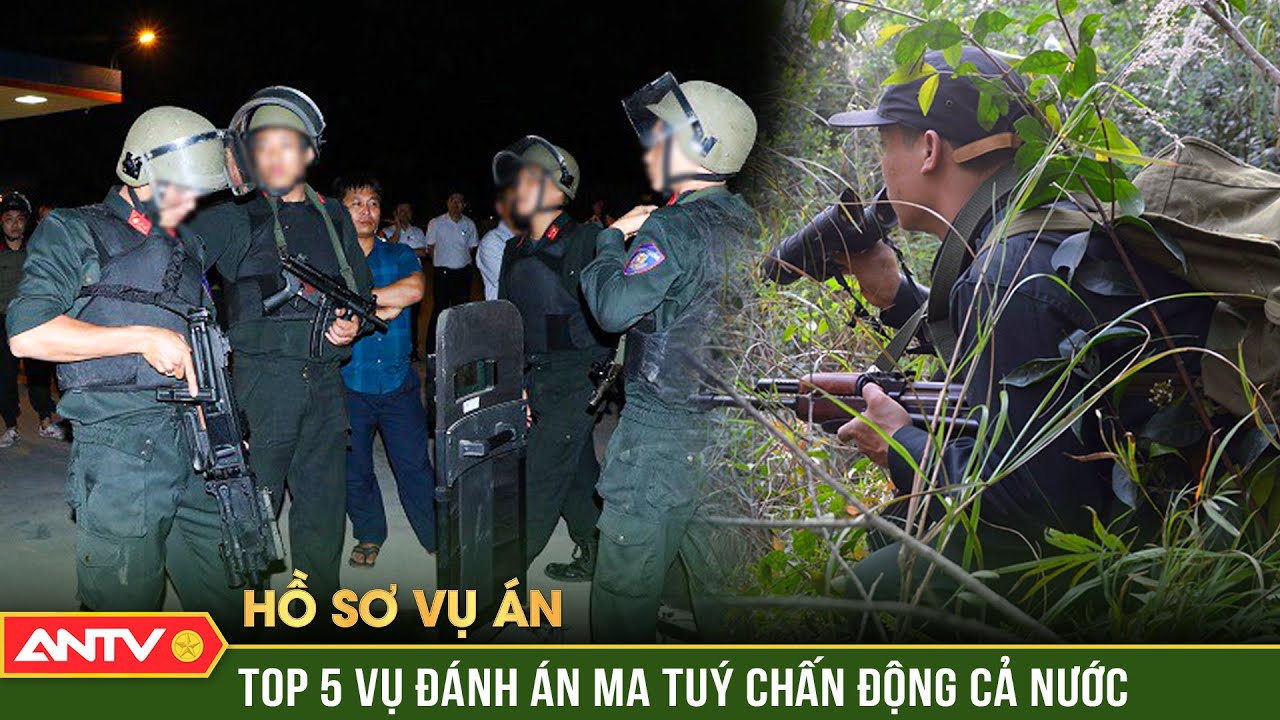 Hồ sơ vụ án: 5 vụ đánh án ma tuý chấn động năm 2025 | ANTV