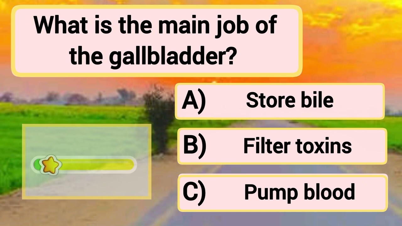 Did you get 15/15? General knowledge Country quiz World quiz challenge long Video #quiz #longvideo 