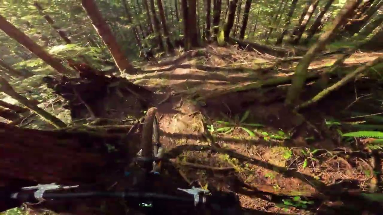 Remote MTB Paradise - Forks, WA