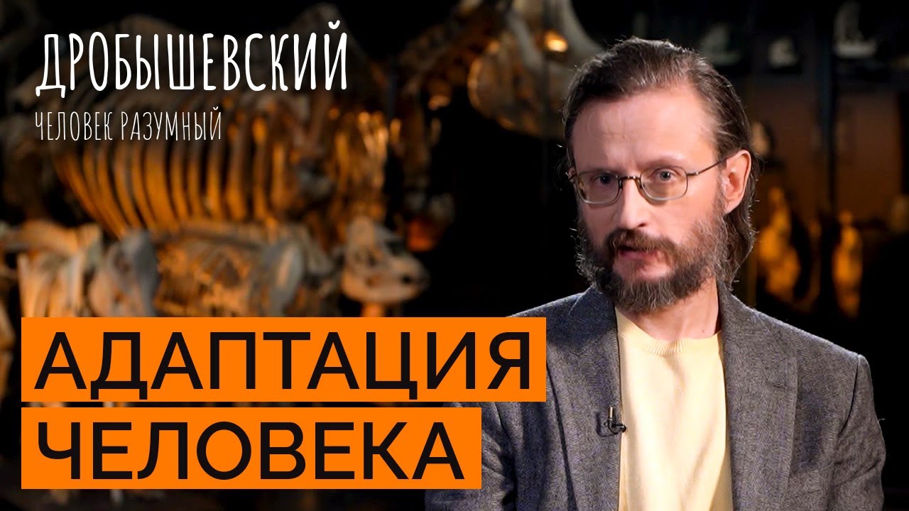 Как среда формировала человека и как он адаптировался?