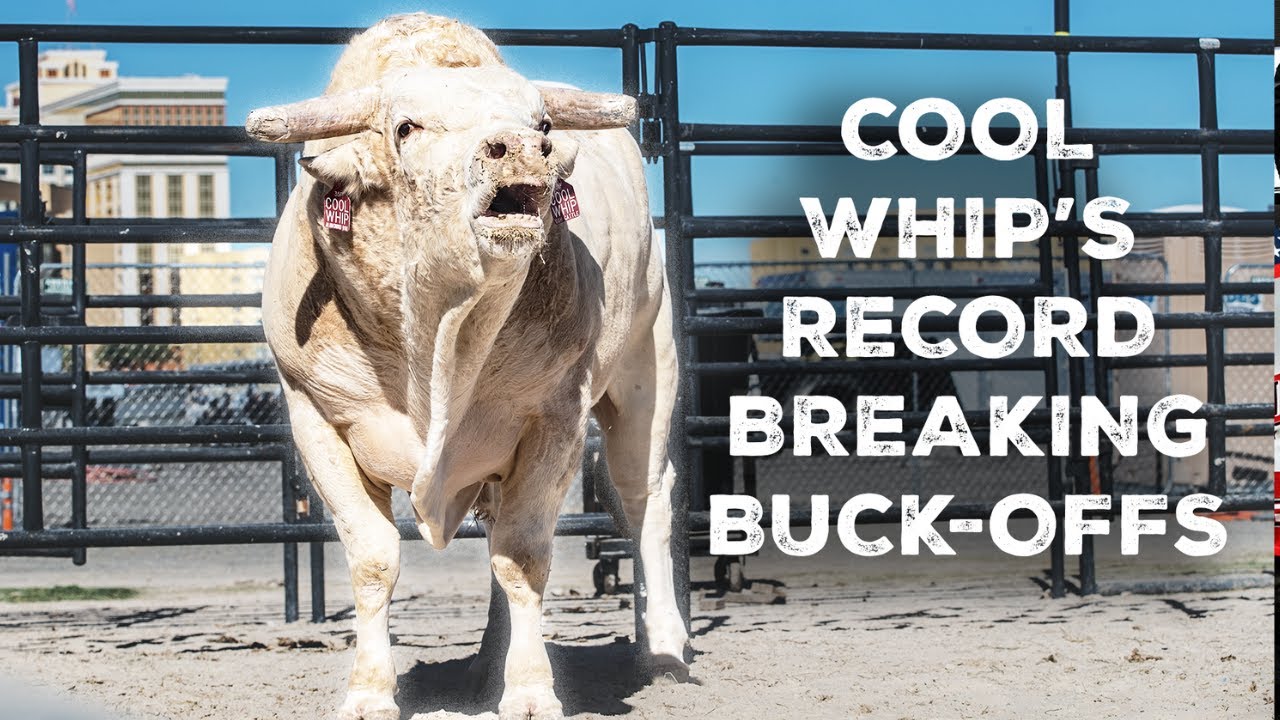 Cool Whip's Record Breaking Buck-Off Streak