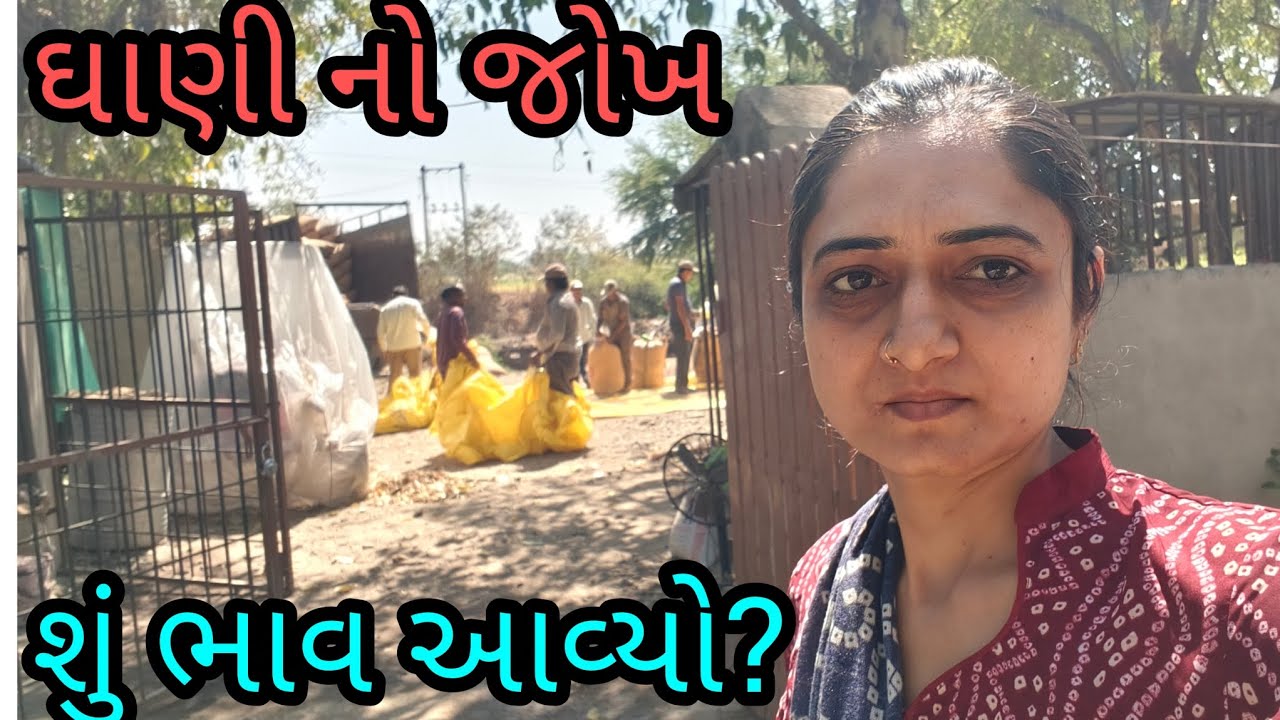આજે આગતરી ઘાણી નો જોખ, શું ભાવ આવ્યો?  Village life 🧬