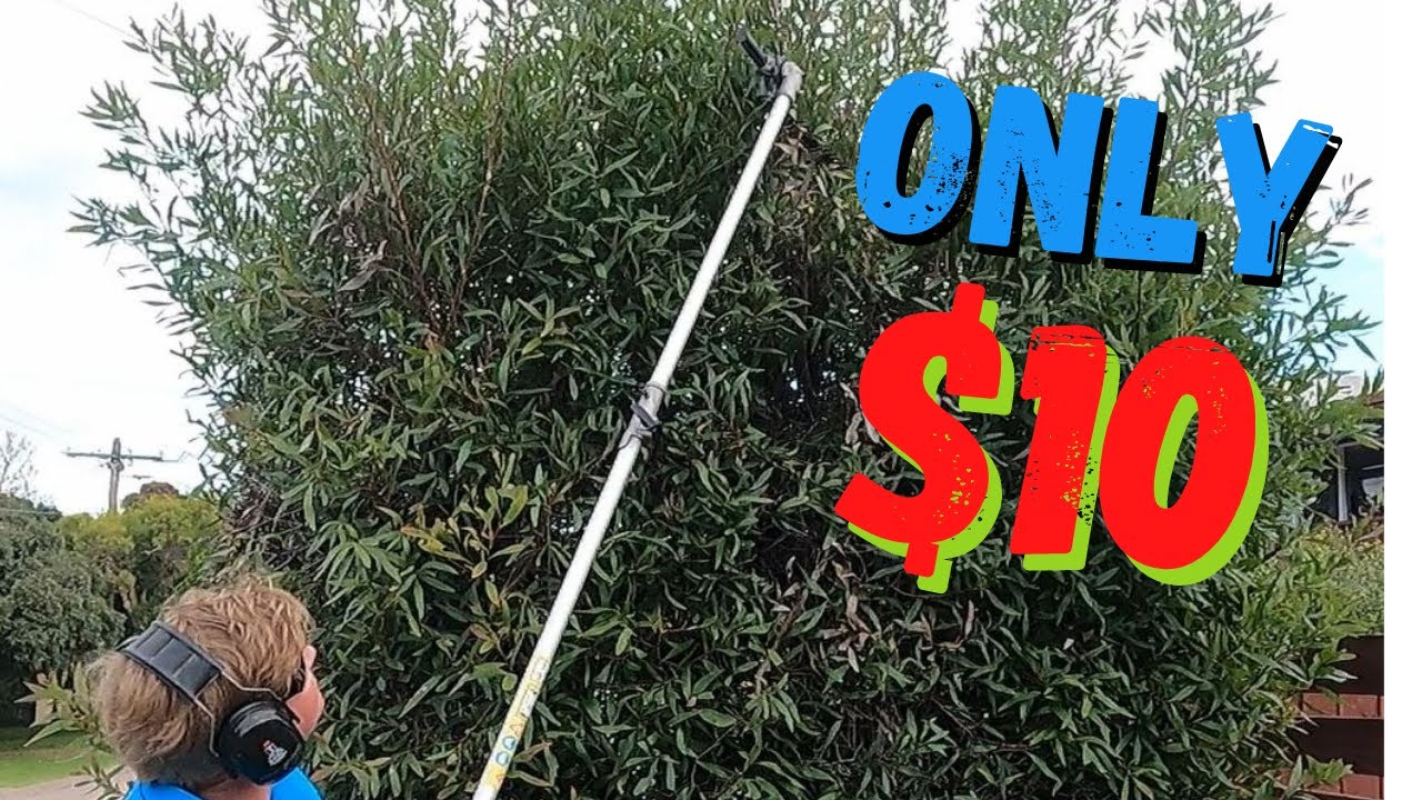 We Bought a Pole Hedge Trimmer and Chainsaw - Did we get it Started?
