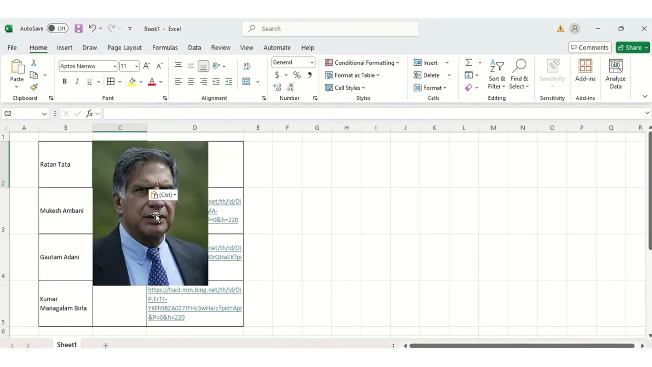 Paste Picture in excel cell through link or image address