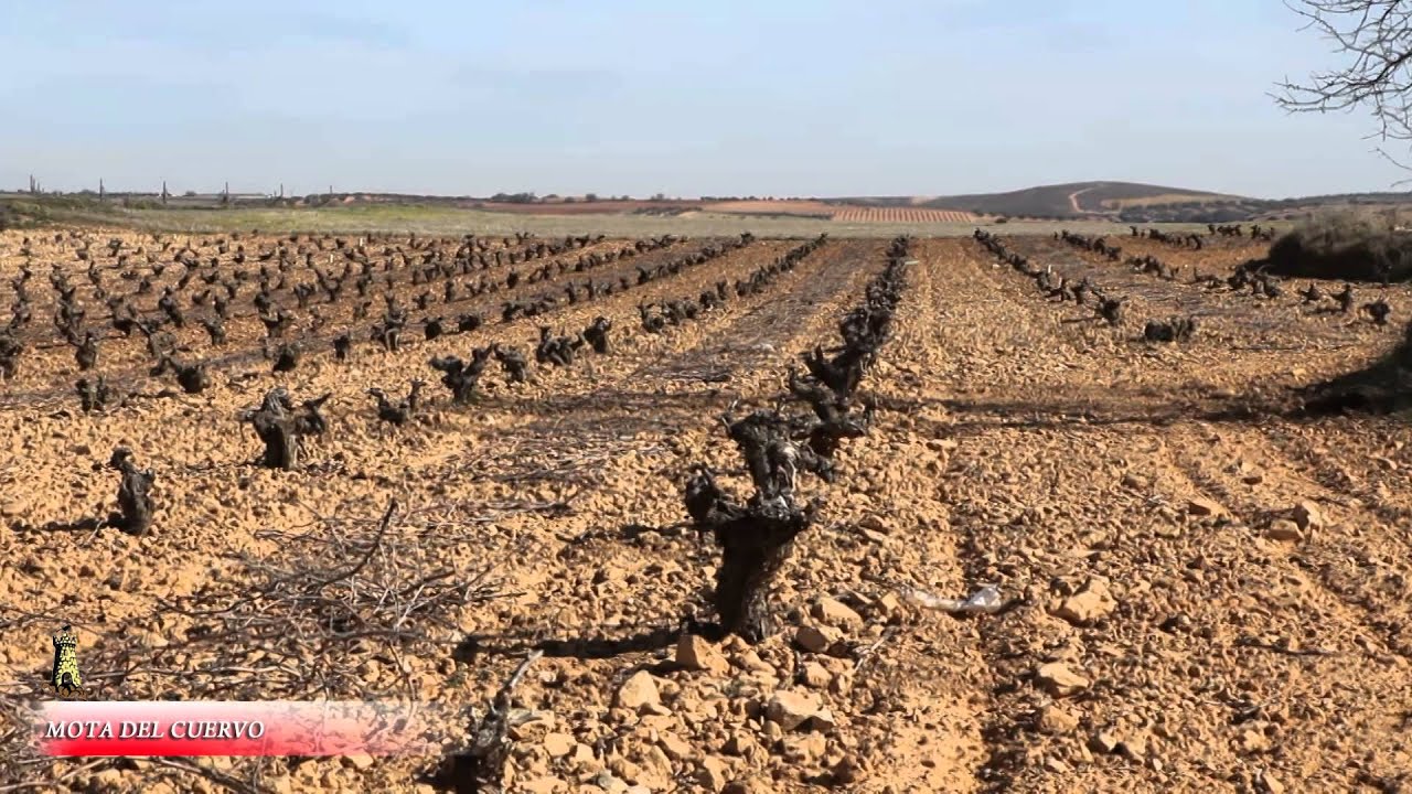 MOTA DEL CUERVO "EL LUGAR DE LA MANCHA"