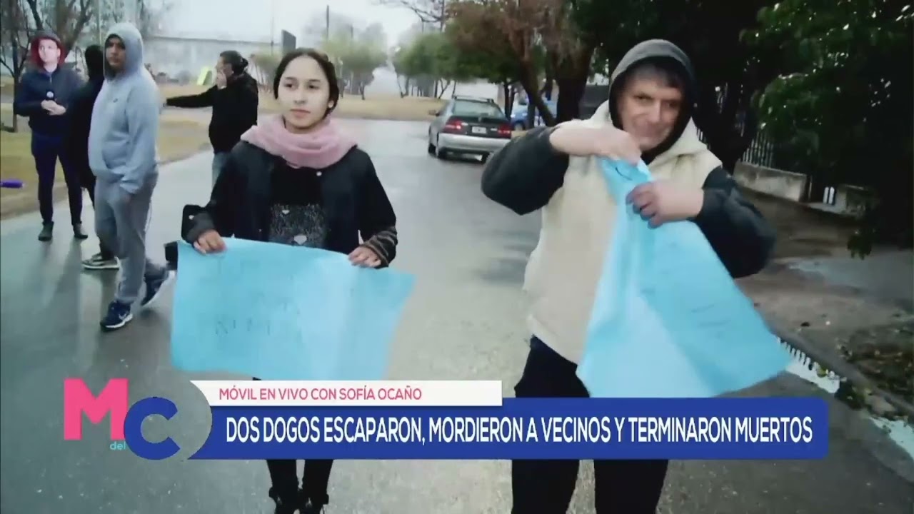 Dos dogos escaparon, mordieron a vecinos y terminaron muertos