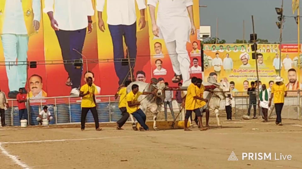 2026-చిలకలూరిపేట.2పళ్ళు.15వ జత.