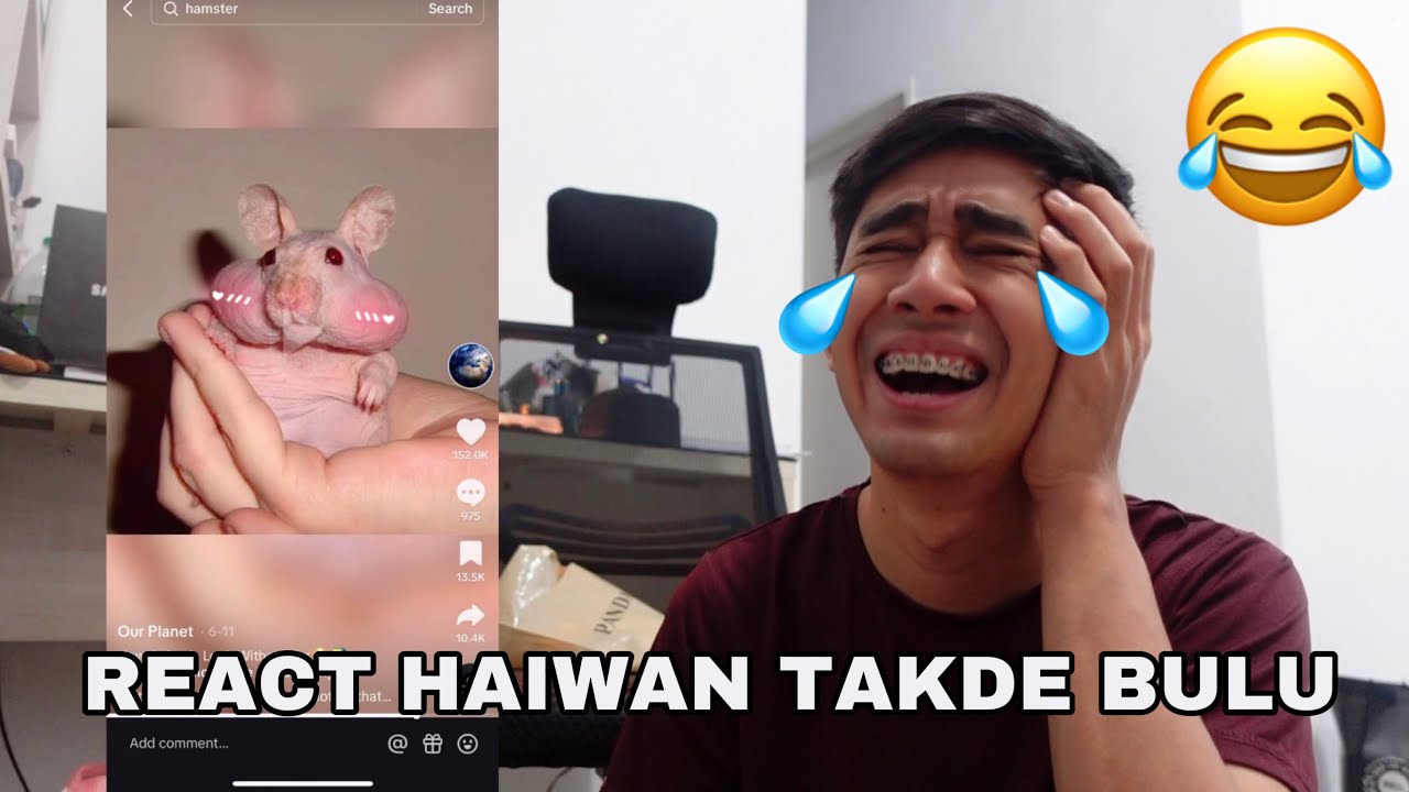 KALAU HAIWAN TAKDE BULU 😱 REACT TIKTOK RANDOM 😂