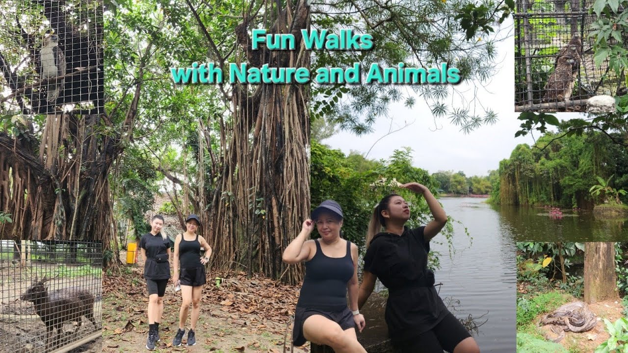 Morning Walk: From Home to Circle & Wildlife 