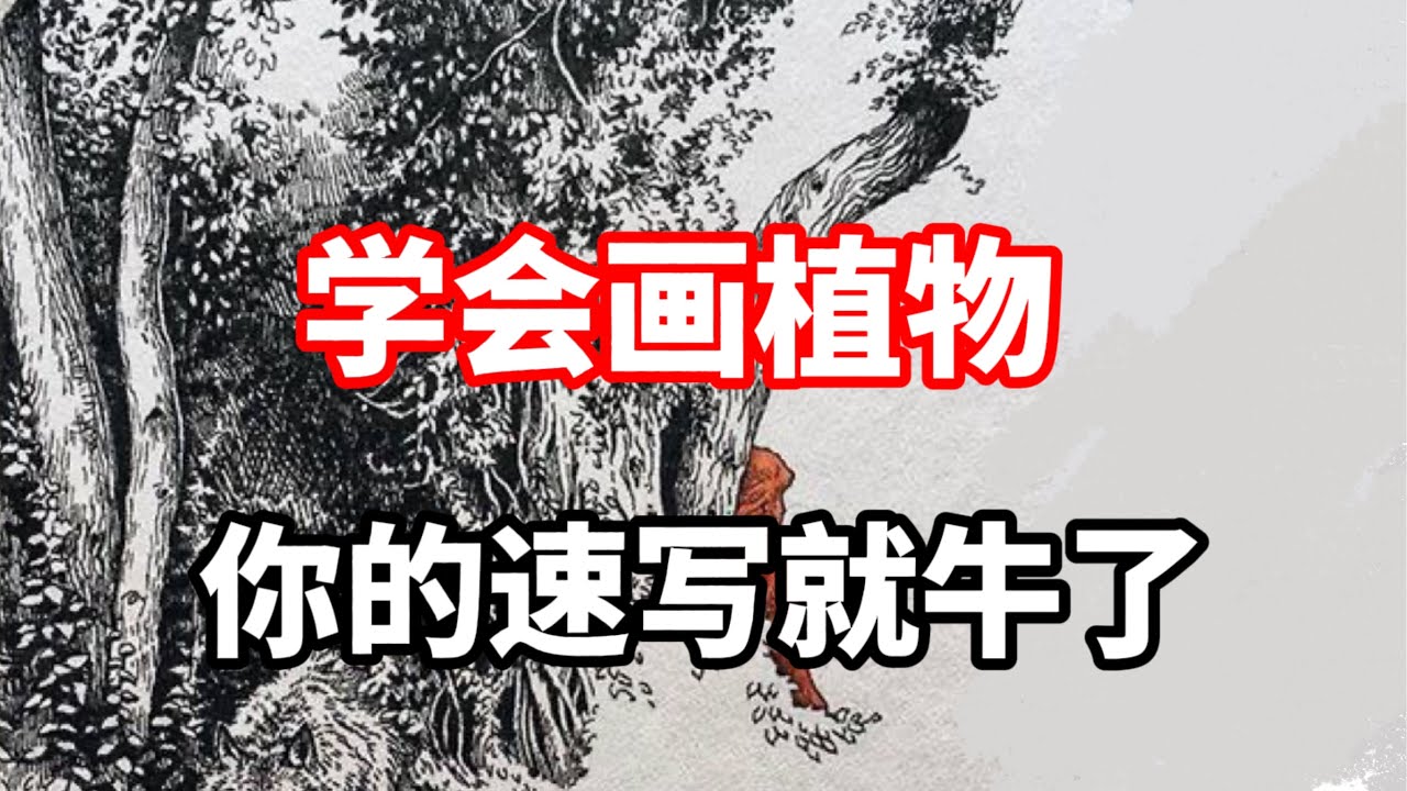 风景中植物怎么画？ 零基础钢笔速写教程