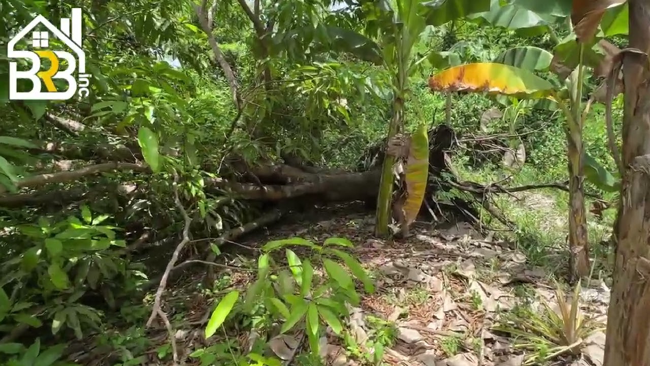 SEAFRONT PROPERTY FOR SALE | 1,222 SQM LOT AREA EXPANDABLE | SANDINGAN LOON BOHOL PHILIPPINES
