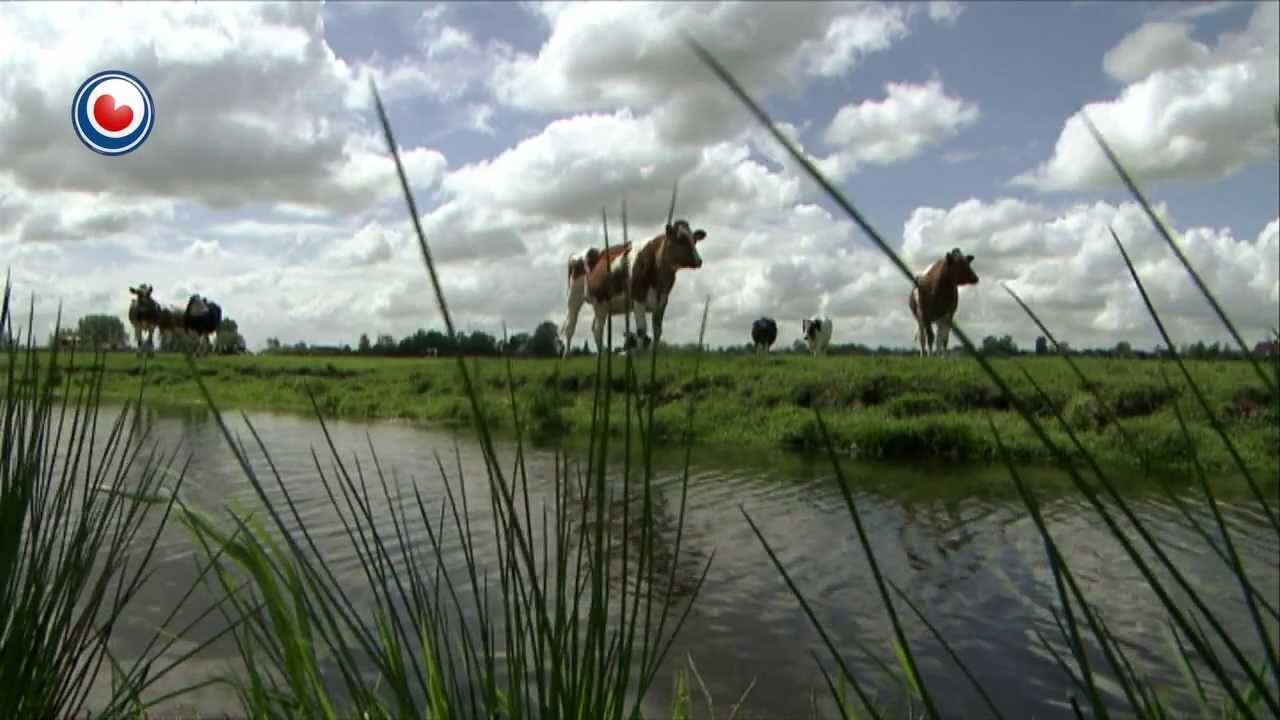 Fryslân DOK: Oersette