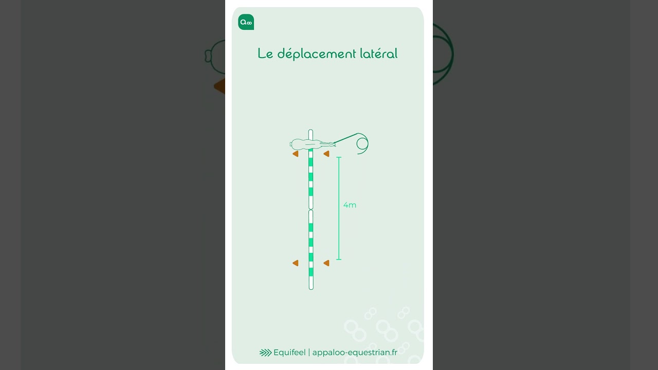Séance d'equifeel | Le déplacement latéral 