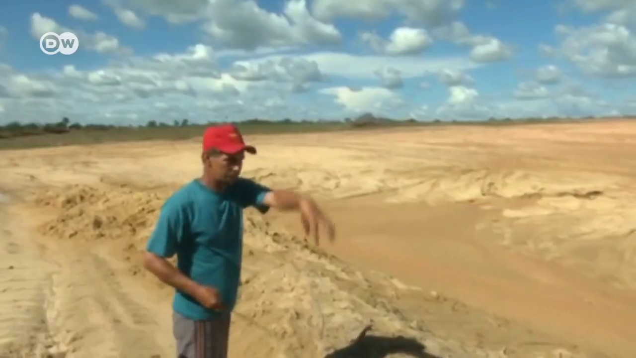 Deforestar millones de hect&aacute;reas en Brasil es legal