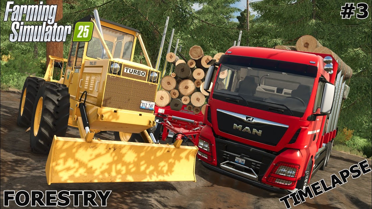 TRANSPORTING WOOD WITH THE MAN TGX TRUCK TO THE SAWMILL | Forestry | Farming Simulator 25 | Ep 3
