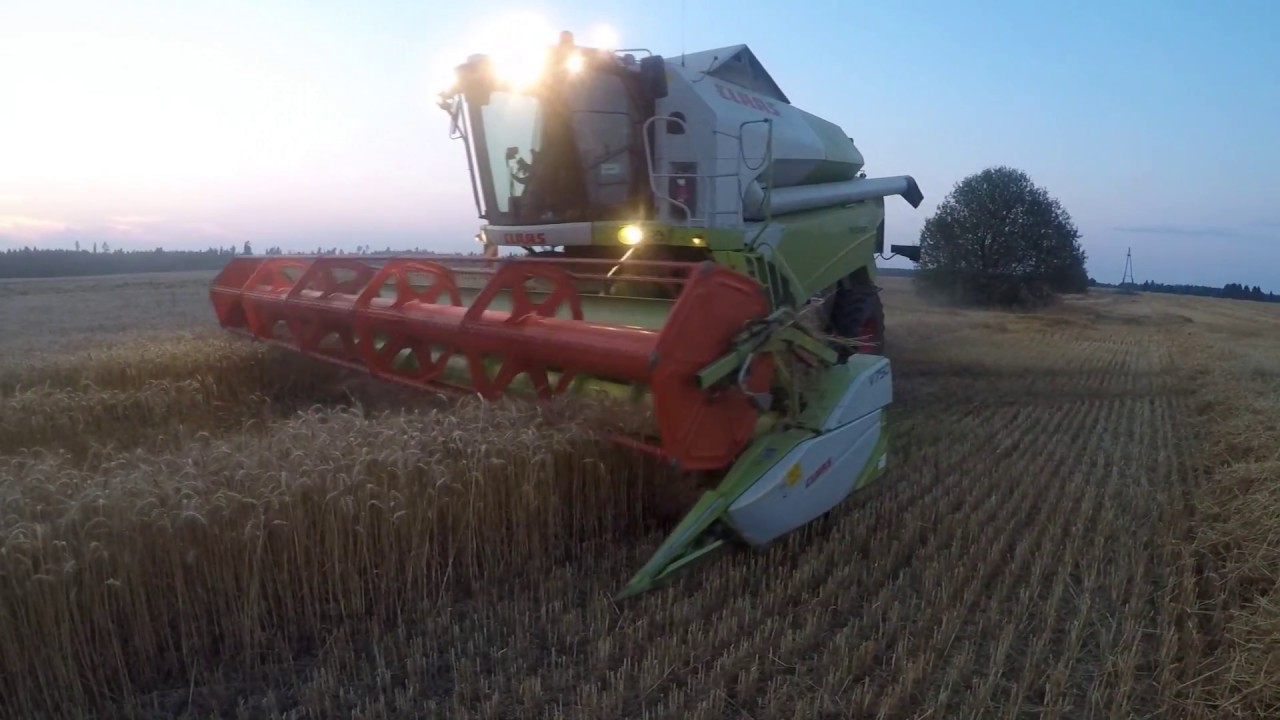 Wheat harvest Claas tucano 480 & V750