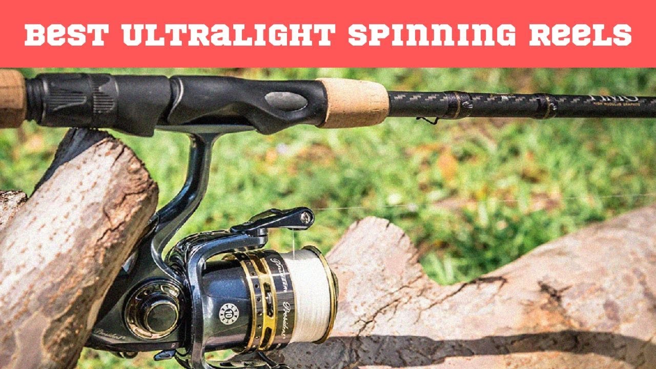 6 Best Ultralight Spinning Reels Reviewed in 2022