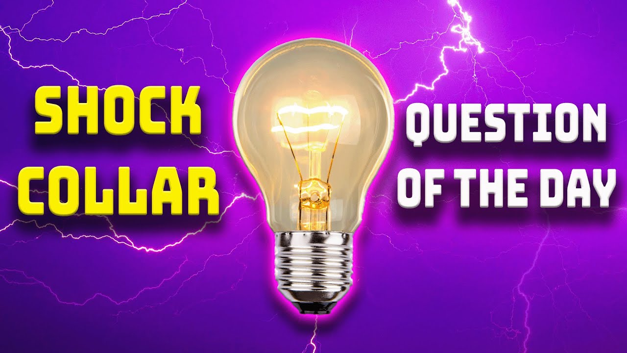BIG BRIM ENERGY (Shock Collar Trivia) 1/15/26 | Brooke and Jeffrey