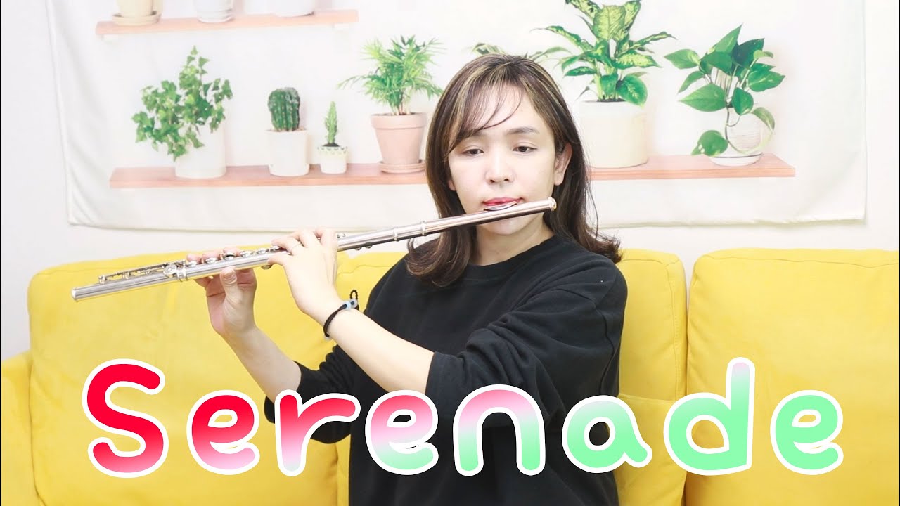J. Haydn - Serenade(하이든 세레나데)  플루트