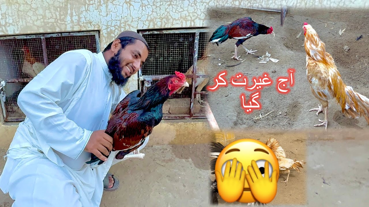 Sontol Ko Dho Dala 🫣 Itni Speed 🤯