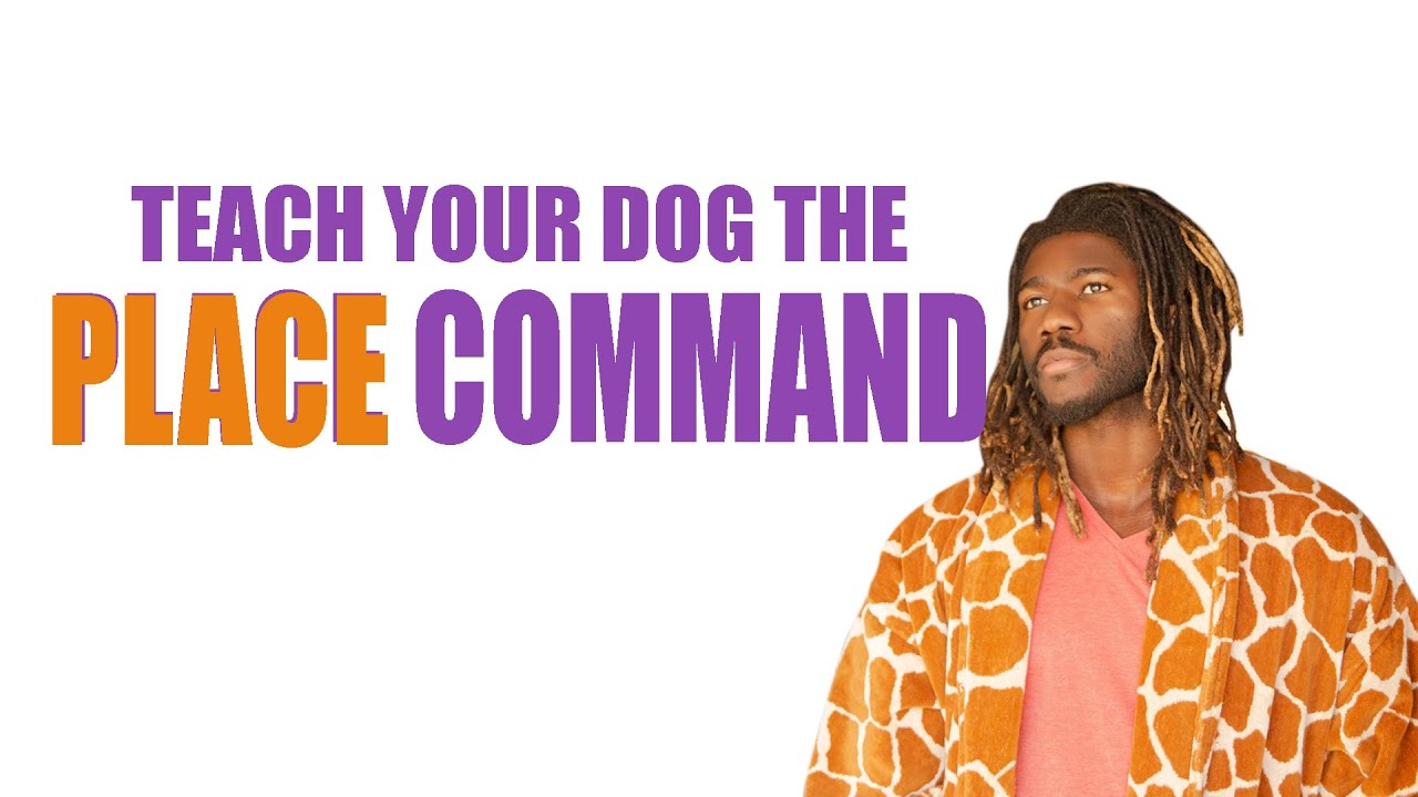 HOW TO TEACH YOUR DOG THE PLACE COMMAND