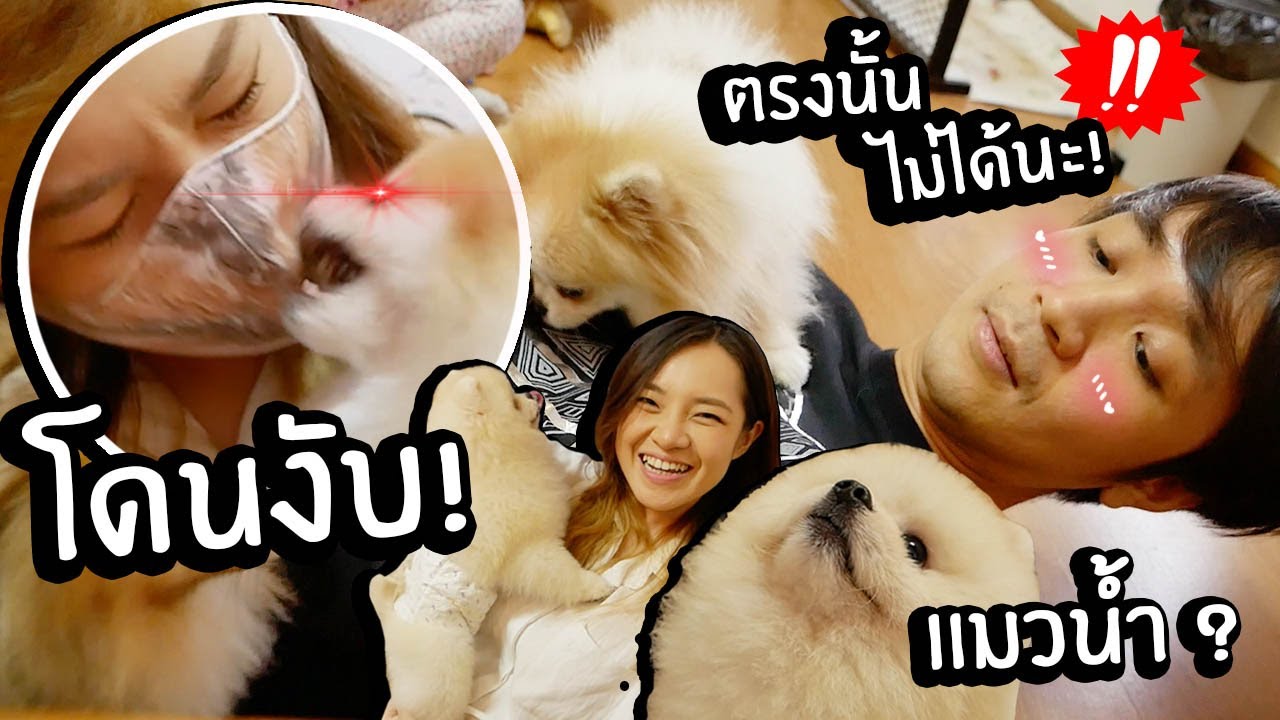นอกใจหมาไปหาหมาหมี! // ขืนใจน้องจนโดนงับปาก!