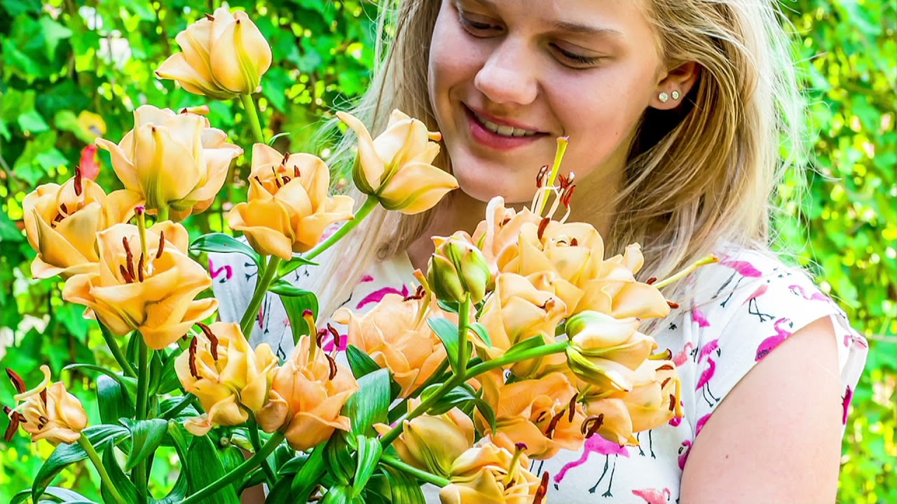 Barbara King 5-Piece Lily Apricot Fudge Live Bulbs on QVC