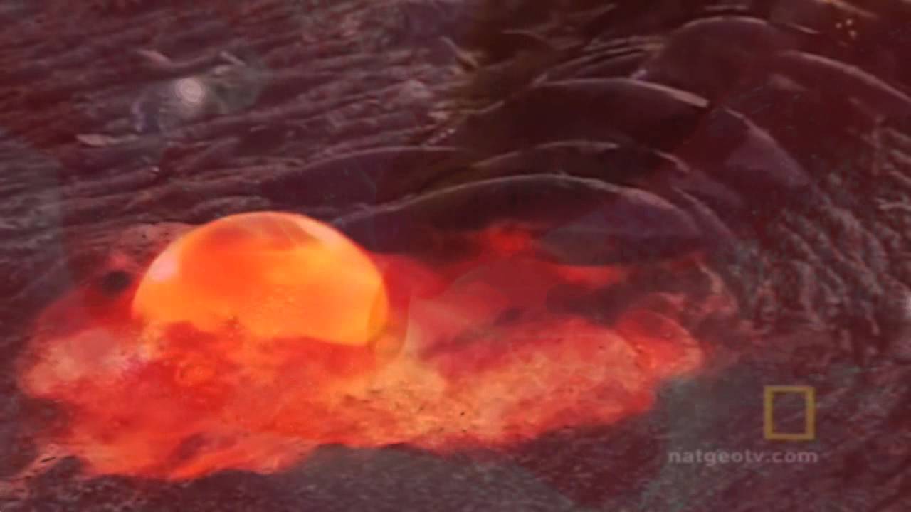 Fire!Elsa - Let Us Burn