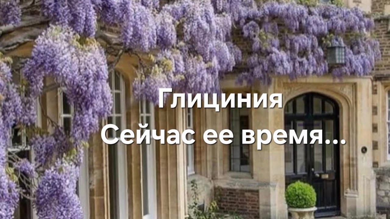 Italy/Местный рынок/Что тут можно прикупить🤔❓️