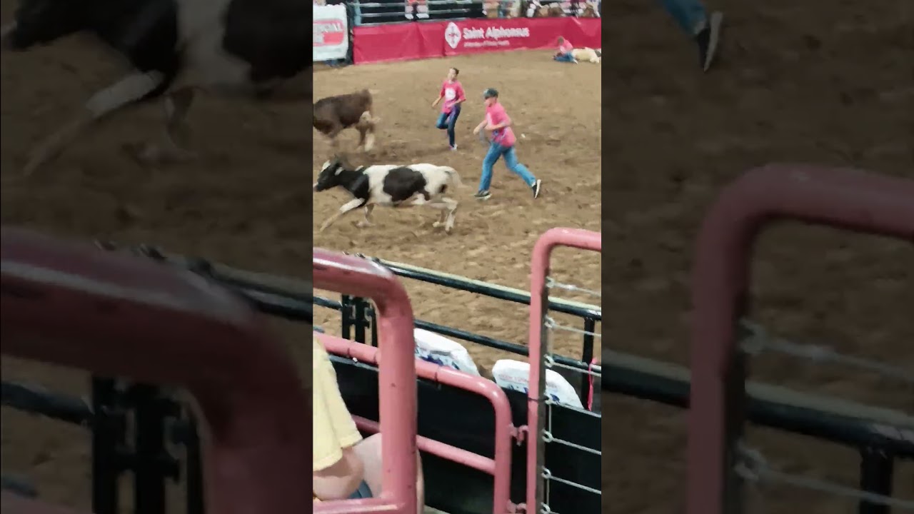 Youth Cattle Rustling
