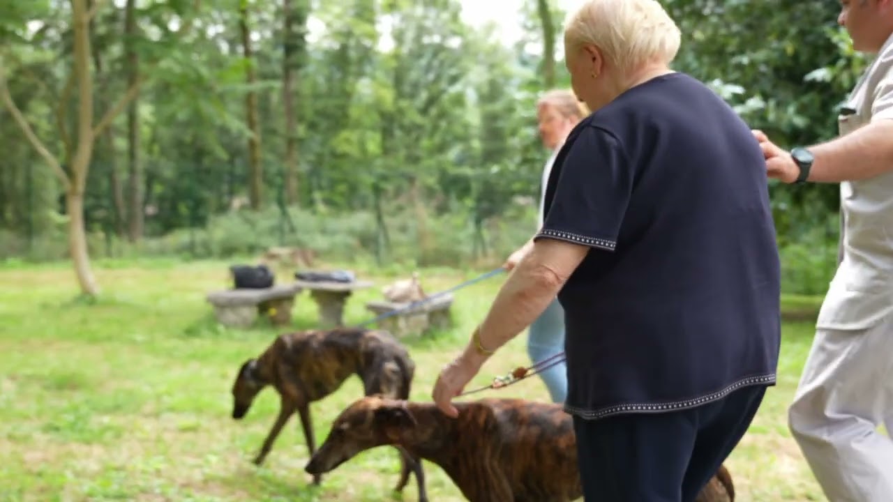 🐾 Corazones con cuatro patas 💙 TERAPIAS CON GALGOS | en FUNDACIÓN HOSPITALARIAS ELIZONDO