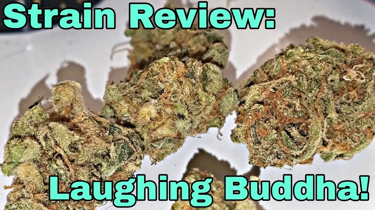 Strain Review: Laughing Buddha!