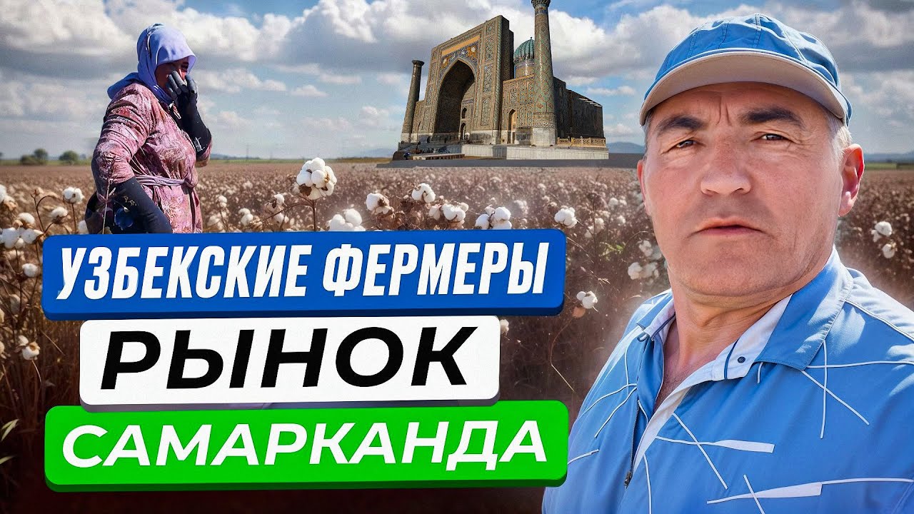 Каракульские овцы или Хлобководство \ Что ЛУЧШЕ для фермеров в Узбекистане? \ Как зарабатывают