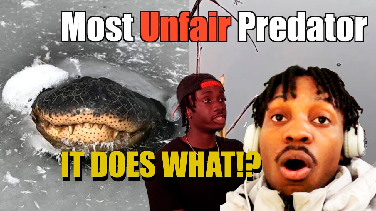 This Reptiles are Scary