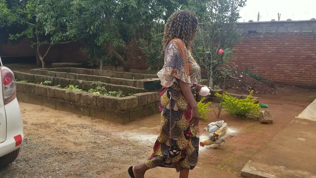 Village Life Feeding Chicken 