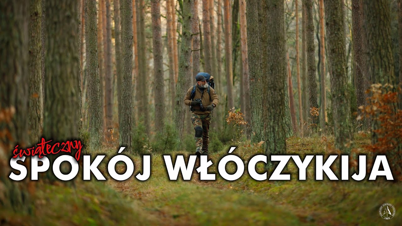 Prosty biwak solo - jesień w Borach: cisza, spokój i kolory #biwakowanie #wloczykij