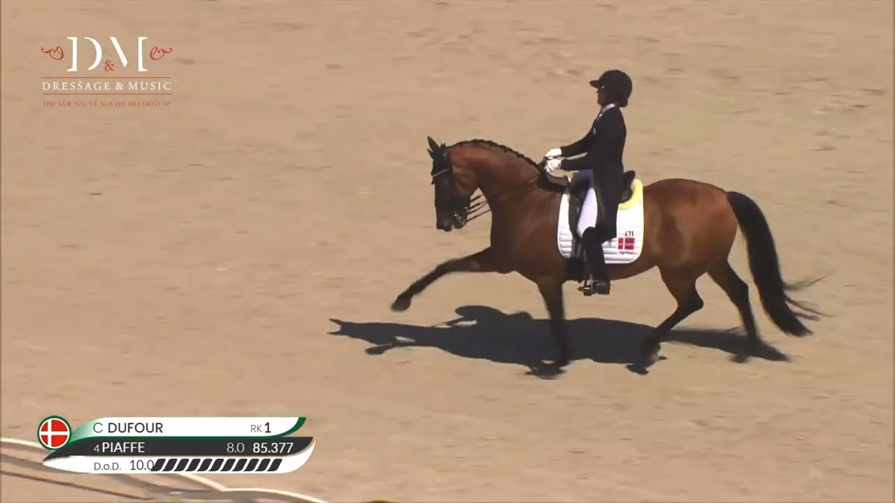 'Deep whistle' by Dressage&Music - Cathrine Dufour & Vamos Amigos - GP Freestyle
