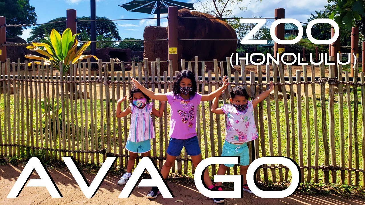 Honolulu Zoo Part 1